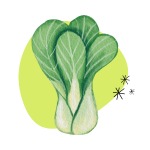 Bok Choy
