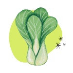 Bok Choy