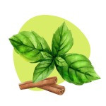 Cinnamon Basil