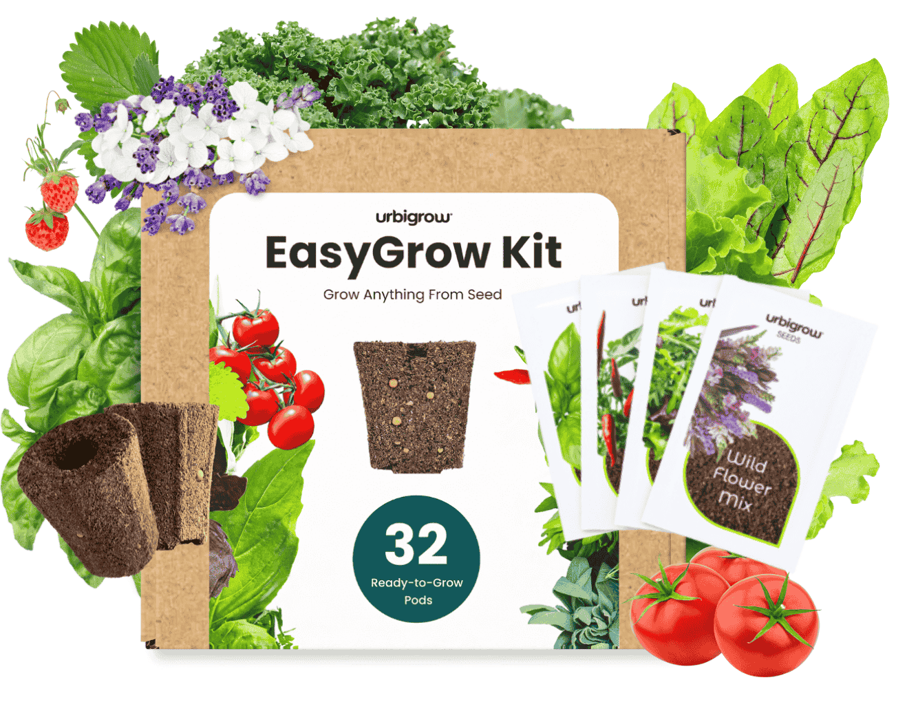 EasyGrow Kit